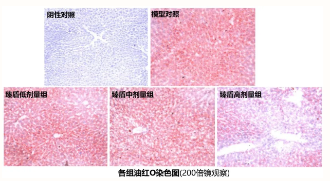 d7207012335cbc3e1250810ba564ad5.png