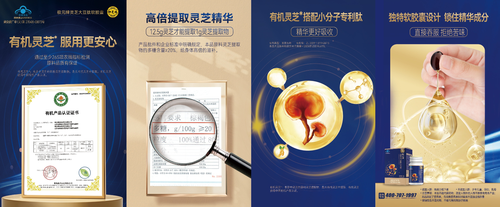 20250311-灵芝大豆肽折页(1).jpg